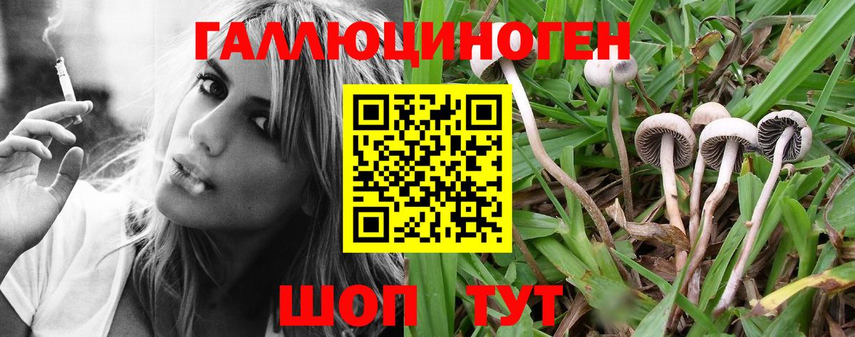 Псилоцибиновые грибы мухоморы  Вход с VPN  Орёл 